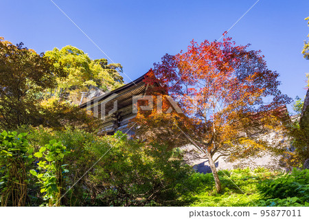 (山形縣)秋季法周山上的立石寺(山寺) (山形縣)秋季法周山上的立石寺(山寺) 95877011