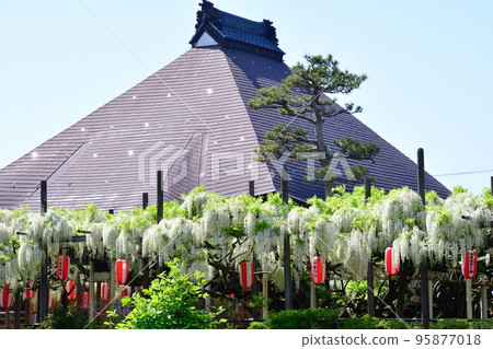 Hachioji Temple and Shirato (Niigata Prefecture) Hachioji Temple and Shirato (Niigata Prefecture) 95877018