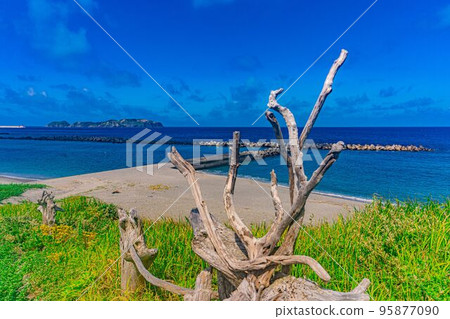 [Scenery] Niijima coast 95877090