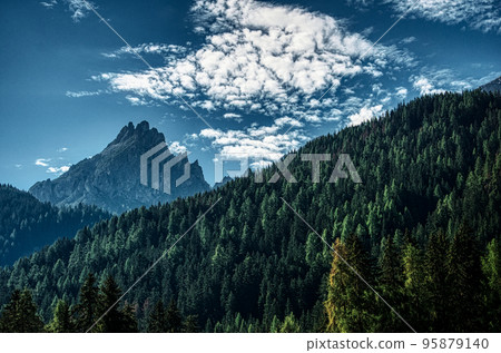 Peaks over the forest 95879140