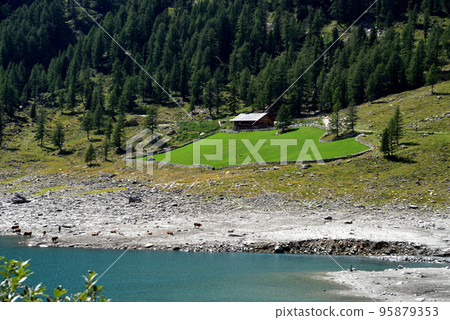 Small farm on the lake Small farm on the lake 95879353