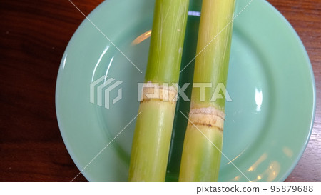 Sugar Cane Sugar Cane 95879688