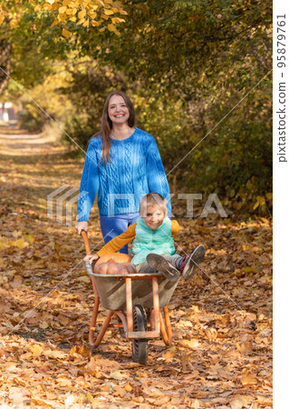 Mother have fun time with kid, use garden wheelbarrow with pumpkins 95879761