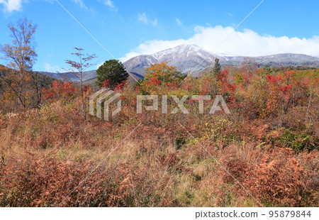 秋天的Norikura Kogen 95879844