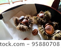 Chestnut  95880708