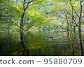 nature reflected in water 95880709