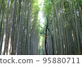  Bamboo grove 95880711