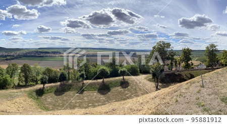 vineyards in the champagne region near Reims in France 95881912