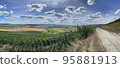 vineyards in the champagne region near Reims in France 95881913