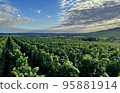vineyards in the champagne region near Reims in France 95881914