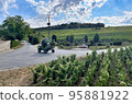 vineyards in the champagne region near Reims in France 95881922