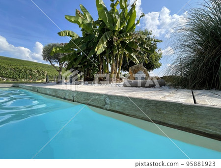 vineyards in the champagne region near Reims in France 95881923