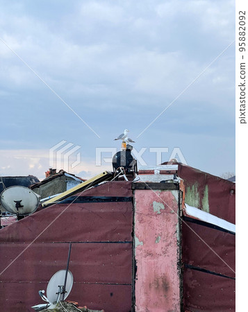 View on roof with seagulls in Istanbul, Turkey 95882092