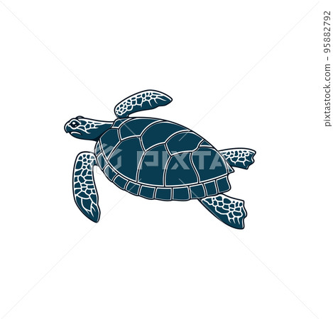 Sea turtle reptile, nautical tortoise with cartilaginous carapace isolated monochrome icon. Vector Loggerhead Caretta ocean terrapin with shell, aquarium pet, turtle mascot, sea or ocean old animal 95882792