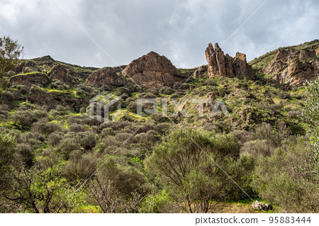 Volcanic landscape of Caldera de Bandama crater with circular hiking trail. Gran Canaria, Spain. 95883444