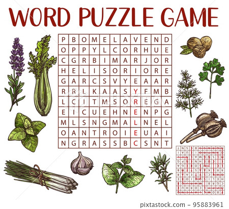 Spices, herbs and seasonings sketch, word search puzzle game worksheet, vector quiz grid. Kids education riddle game to search and find word of herbs and spices, poppy and lavender with nutmeg 95883961