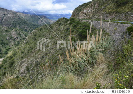 Quebrada del Condorito  National Park,Cordoba province, Argentina 95884699