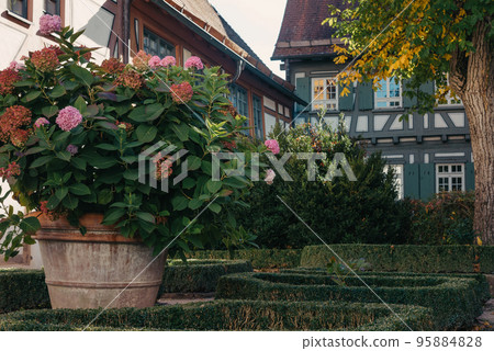 Traditional German Houses with nice garden in fall. Flowers in the City Park of Bietigheim-Bissingen, Baden-Wuerttemberg, Germany, Europe. Autumn Park and house, nobody, bush and grenery 95884828