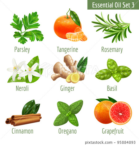 Essential Oil Set in a Realistic Style Essential Oil Set in a Realistic Style 95884893