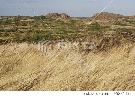 Steppe feather grass with the mountain on the horizon 95885155