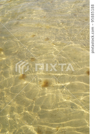 Sea water sun reflection background. Ripple Water Sea water sun reflection background. Ripple Water 95885188