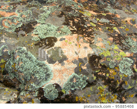 Granite mossy, texture, close-up Granite mossy, texture, close-up 95885408