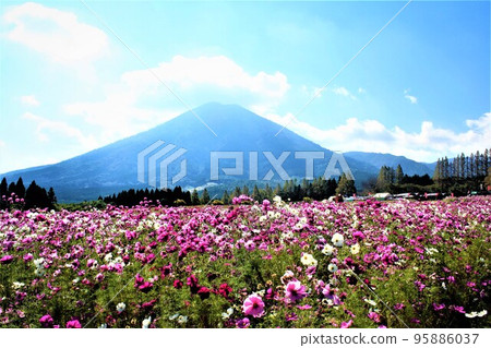 Mt.Himori seen from Ikoma Kogen 95886037