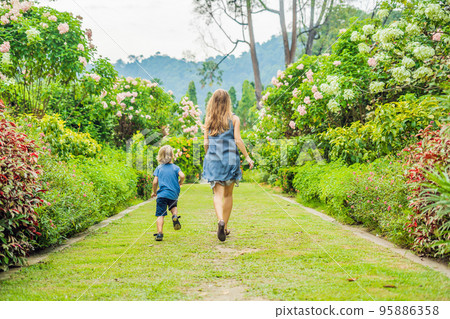 Mom and son are running around in the blooming garden. Happy family life style concept 95886358