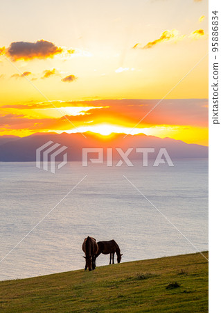 Sunset and Misakiuma Cape Toi in Kushima City, Miyazaki Prefecture Sunset and Misakiuma Cape Toi in Kushima City, Miyazaki Prefecture 95886834