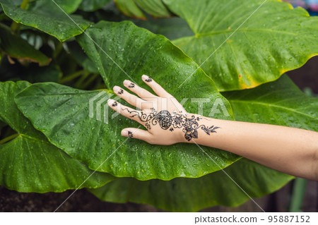Picture of human hand decorated with henna Tattoo. mehendi hand Picture of human hand decorated with henna Tattoo. mehendi hand 95887152