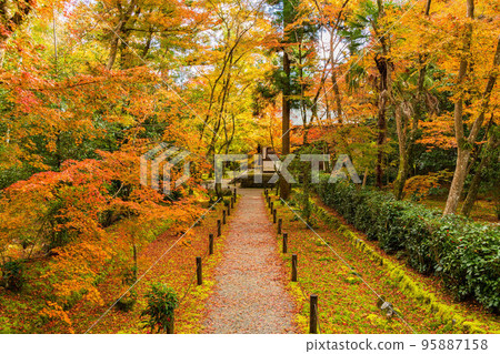 Autumn in Kyoto Rakusai Jizo-in Temple (Bamboo Temple) with autumn leaves 95887158