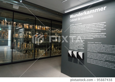 Exhibition at the Bern Natural History Museum 95887438