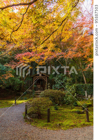 Autumn in Kyoto Rakusai Jizo-in Temple (Bamboo Temple) with autumn leaves 95887503