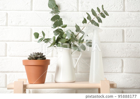 Beautiful plants and spray bottle on wooden shelf near brick wall at home 95888177