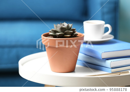 Beautiful succulent and books on white table indoors. Home plant 95888178