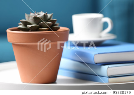 Beautiful succulent and books on white table indoors, closeup. Home plant Beautiful succulent and books on white table indoors, closeup. Home plant 95888179