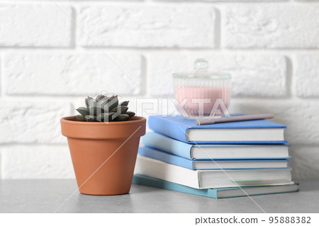 Beautiful succulent and books on grey stone table near brick wall. Home plant Beautiful succulent and books on grey stone table near brick wall. Home plant 95888382