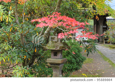 Lanterns and autumn leaves (Yufuin) Lanterns and autumn leaves (Yufuin) 95889864