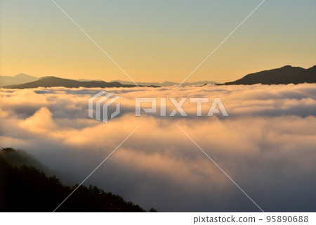 野坂川村的雲海 野坂川村的雲海 95890688