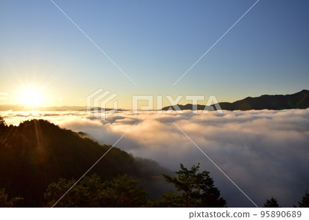 野坂川村的雲海 野坂川村的雲海 95890689