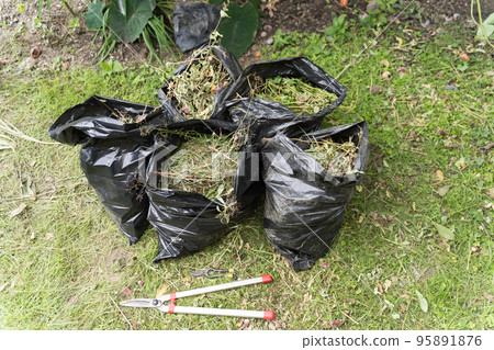 裝滿割草的垃圾袋 95891876
