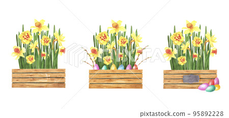 Easter set daffodils bouquet in wood pot with colored eggs isolated on white. Watercolor hand drawing illustration 95892228