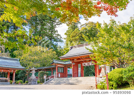 Shiogama Shrine Shiwahiko Shrine Autumn leaves 95893098
