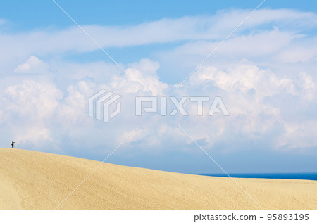 Tottori sand dunes Tottori sand dunes 95893195