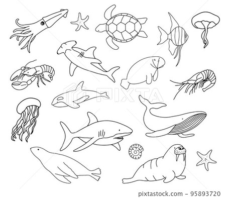 Vector swimming turtle, shark, whale and sea fish isolated on white background. Hand drawn outline doodle illustration ocean or underwater animal for coloring book Vector swimming turtle, shark, whale and sea fish isolated on white background. Hand drawn outline doodle illustration ocean or underwater animal for coloring book 95893720