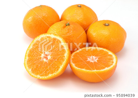 Mandarin orange Mandarin orange 95894039