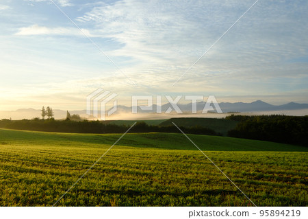 美瑛早晨有日出和晨霧 美瑛早晨有日出和晨霧 95894219