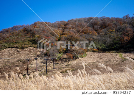 日本鳥取縣大山美麗的秋景 95894287