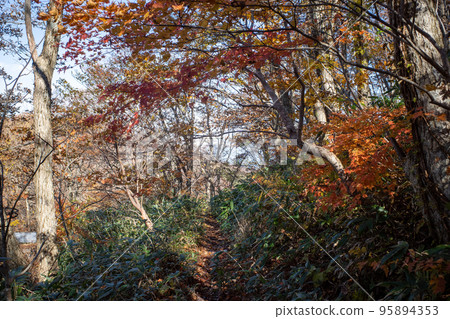 日本鳥取縣大山美麗的秋景 95894353