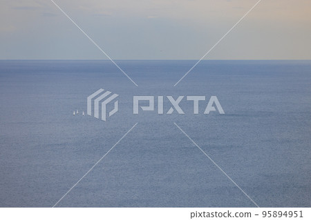 航行在平靜的水域的三艘白色風帆遊艇 95894951